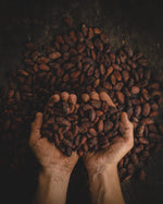 Adventure to Colombia: our coffee pick for January 2021